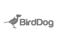 BirdDog : BirdDog